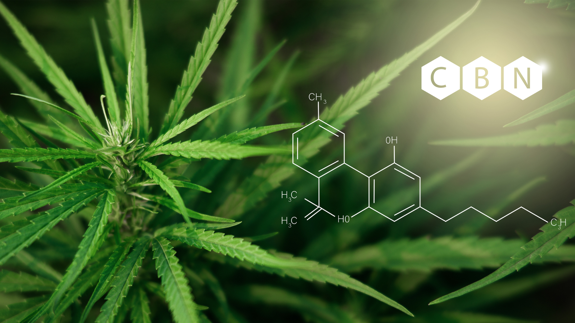 Featured image for “WHAT IS CBN?”
