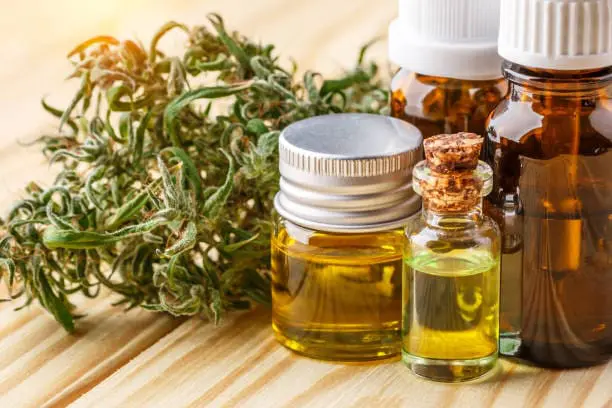 Featured image for “Exploring the Medical Potential of Commonly Found Cannabinoids”