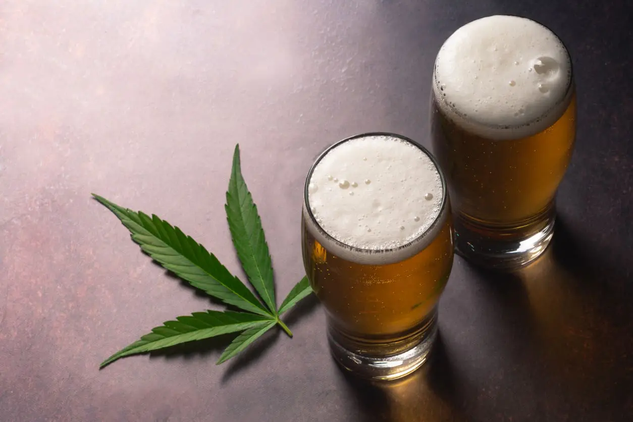 Featured image for “Cannabis vs. Alcohol: Which is More Dangerous?”