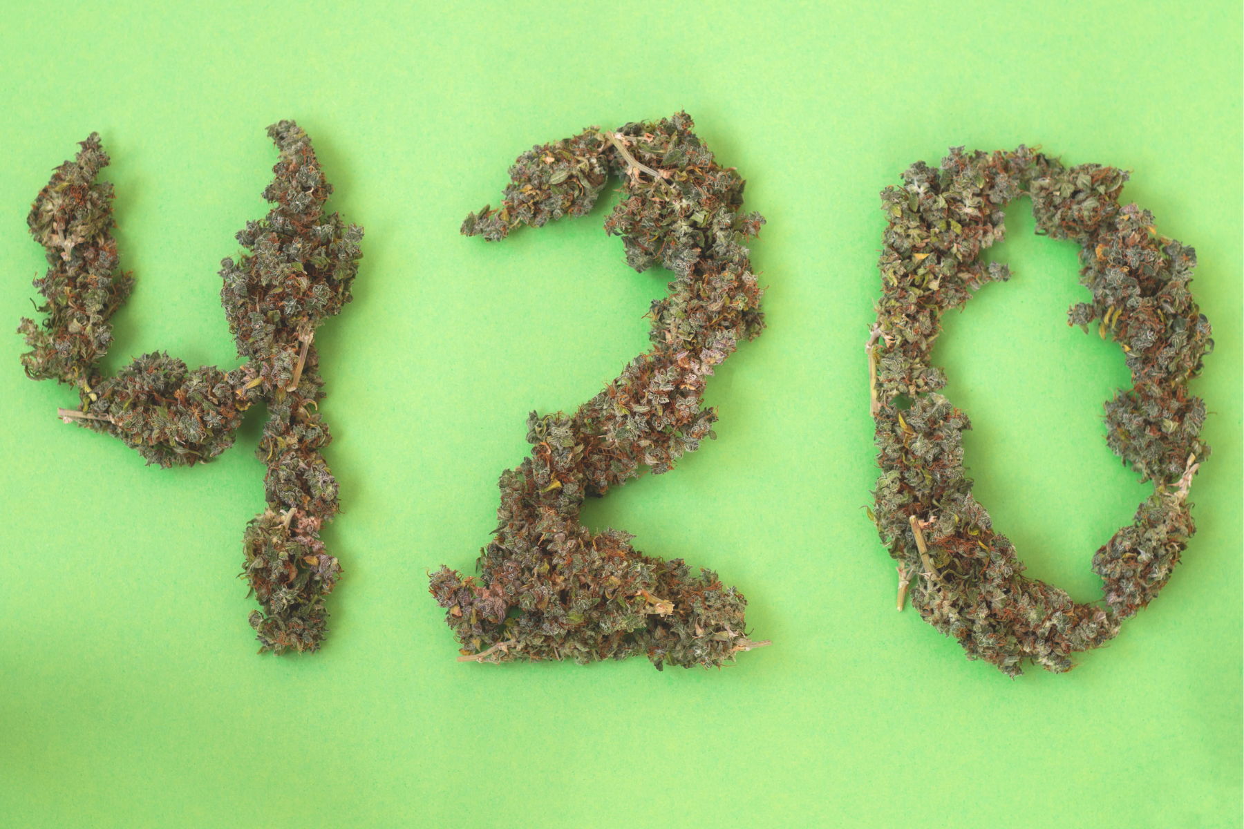 Featured image for “A Global Overview of Worldwide Cannabis Trends”
