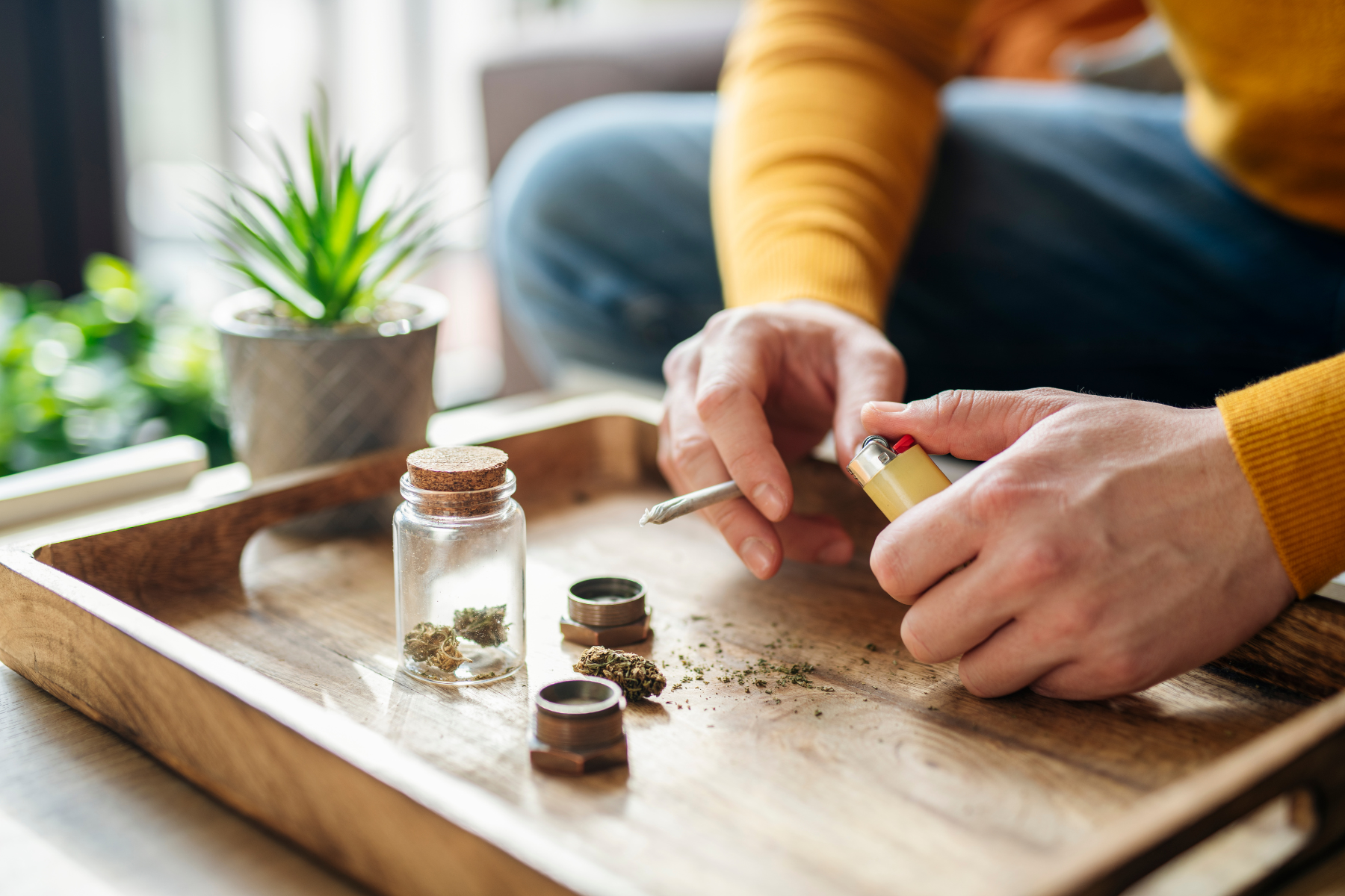 Featured image for “Cannabis Lifestyle: Wellness, Culture, and Daily Use”