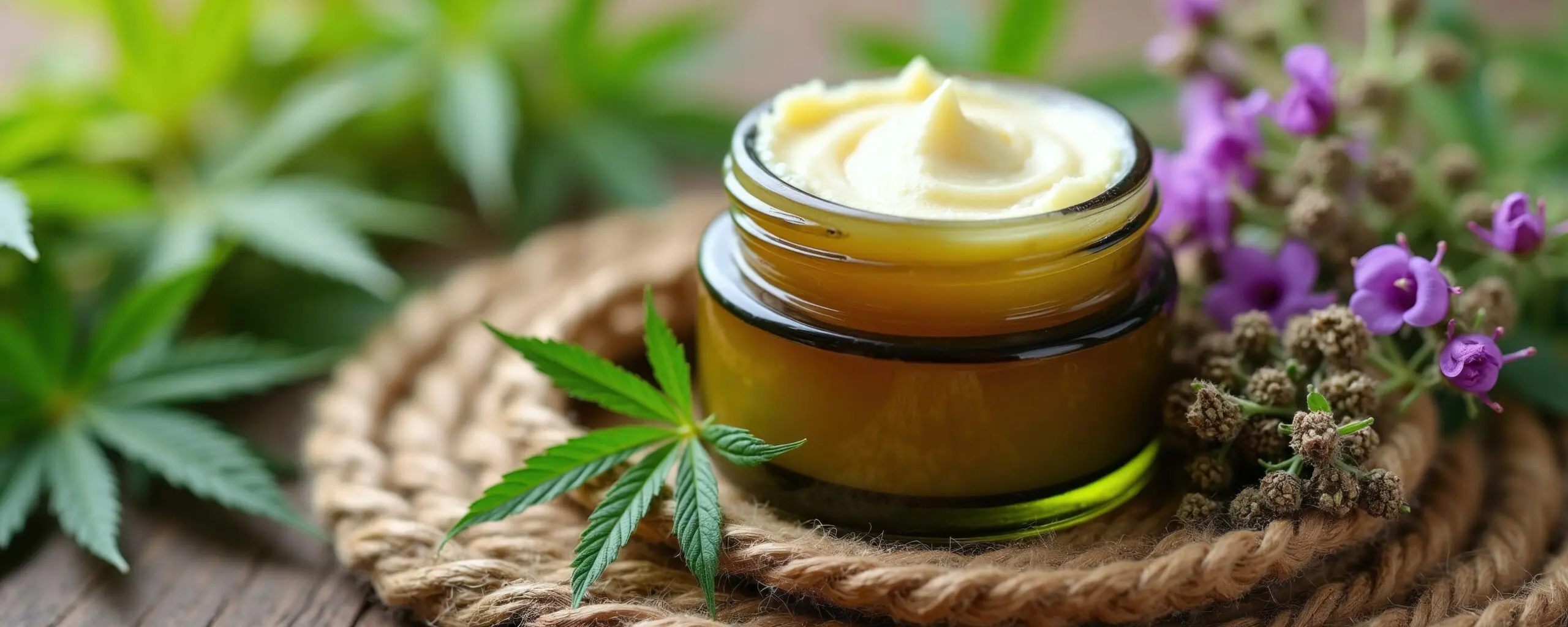 Featured image for “Cannabis Topicals in New Mexico: A Beginner’s Guide”