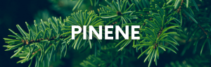 Pinene