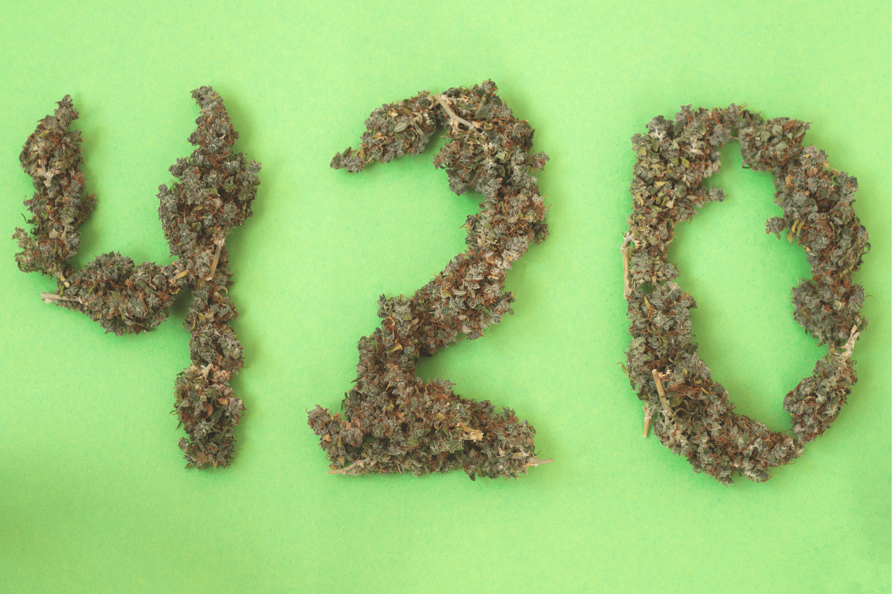 Featured image for “A Global Overview of Worldwide Cannabis Trends”