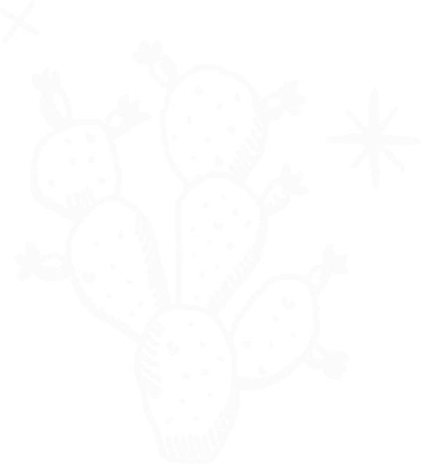 cactus background