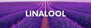 Linalool