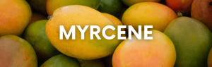 Myrcene