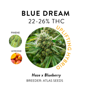 Cannabis Flower Strains