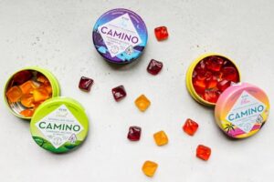 Colorful CBD gummies in Camino branded packaging arranged artfully on a flat surface.