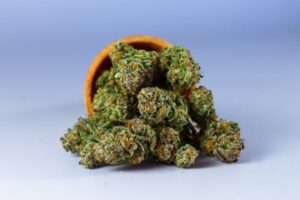 High-quality close-up of cannabis buds in a wooden bowl 